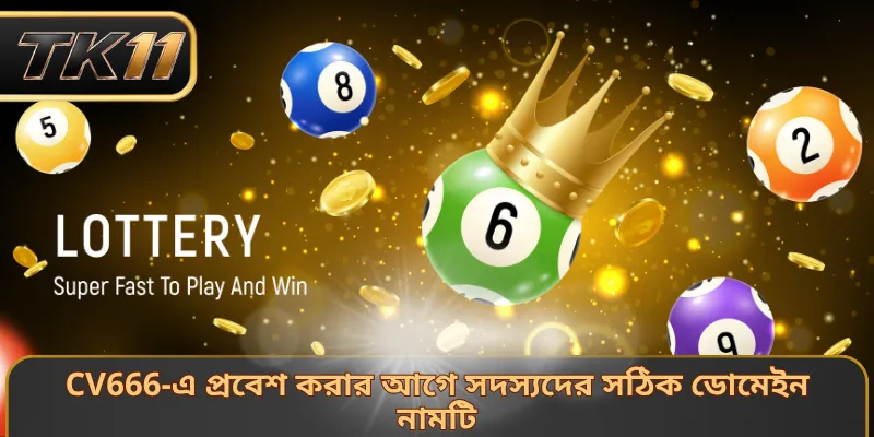 CV666-এ প্রবেশ করার আগে সদস্যদের সঠিক ডোমেইন নামটি 