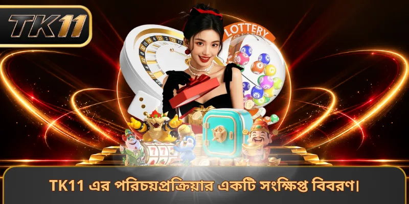 TK11 এর পরিচয়প্রক্রিয়ার একটি সংক্ষিপ্ত বিবরণ।