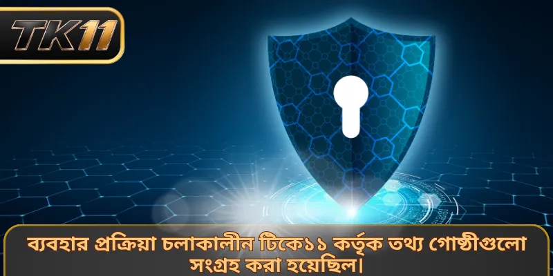 ব্যবহার প্রক্রিয়া চলাকালীন টিকে১১ কর্তৃক তথ্য গোষ্ঠীগুলো সংগ্রহ করা হয়েছিল।
